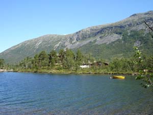 DSC01212