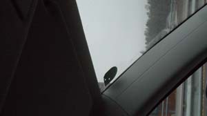 SAM_7489
