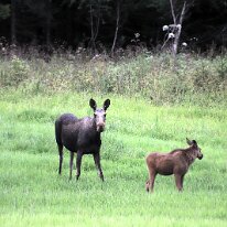 IMG_7770