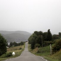 IMG_7774