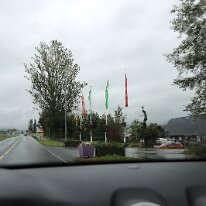 IMG_7781