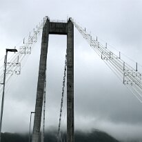 IMG_7794