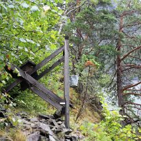 IMG_8011
