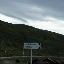 IMG_8311